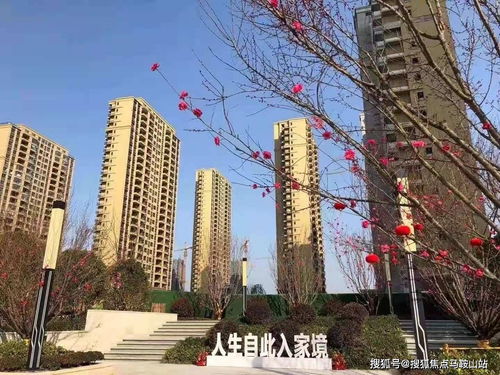 镇江新盘速递 一站式获取楼盘动态、地址户型与教育资源解析