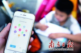 阳光教育网 点亮教育信息服务的未来之路